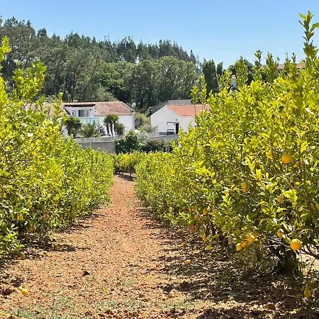 Casa Sao Domingos 萨利蒂马托斯