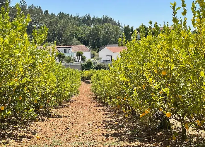 Casa Sao Domingos 萨利蒂马托斯